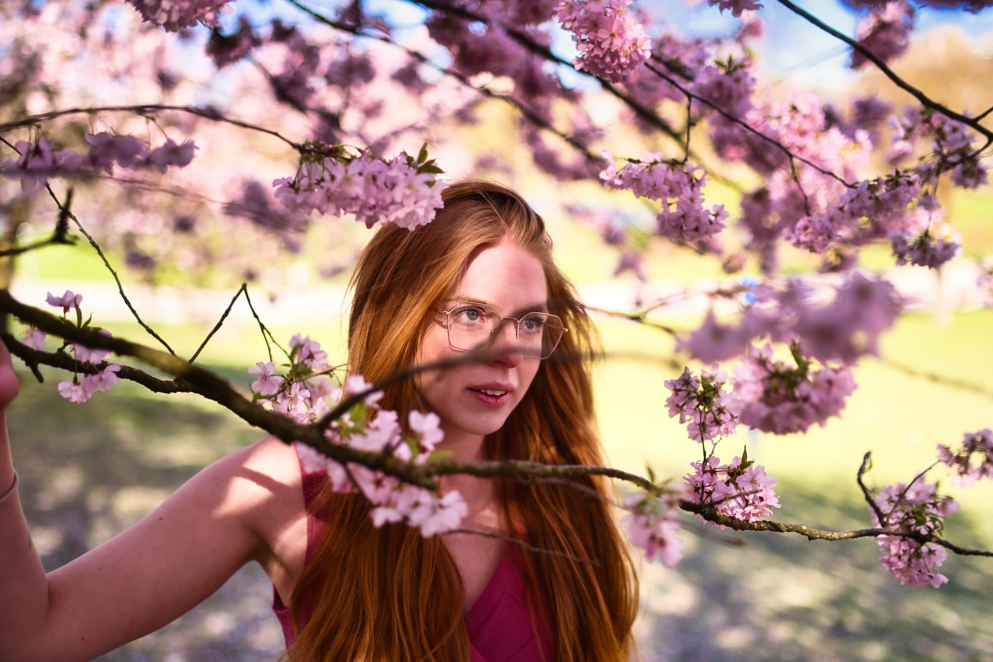 🌸 Kirschblüte mit Antonia