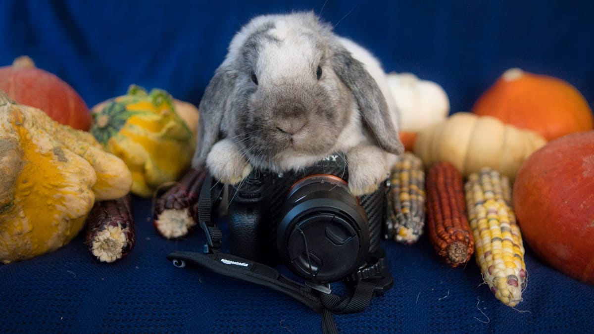 Unser Portfolio für Sie